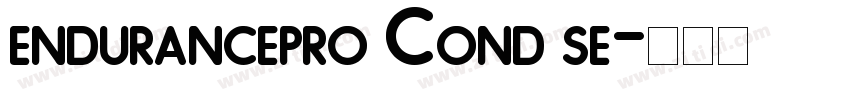 endurancepro Cond se字体转换